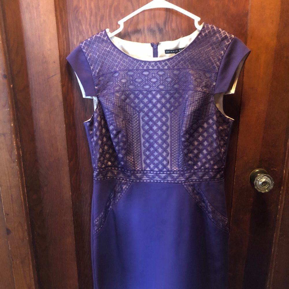 Antonio Melani Purple size 6 dress.